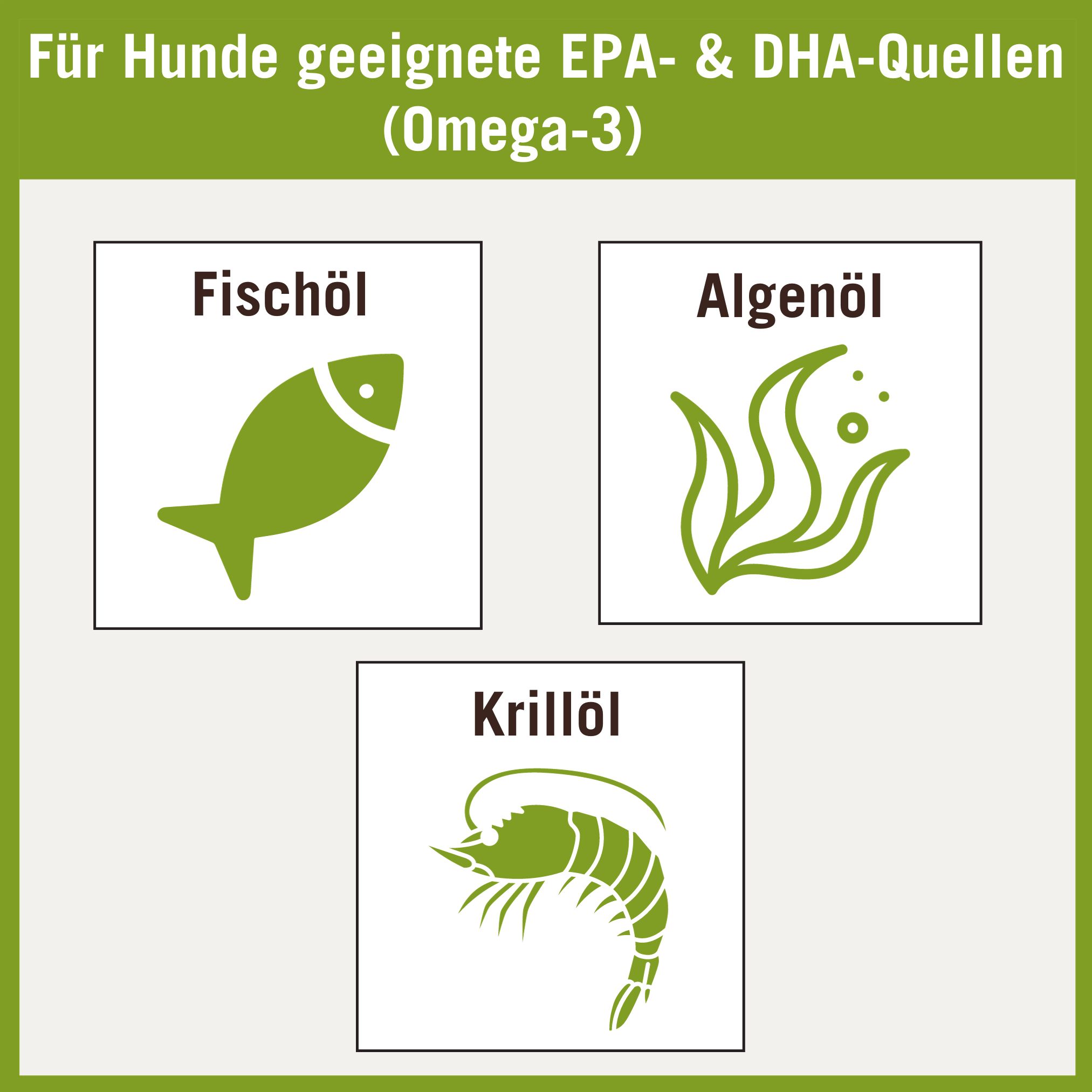 EPA & DHA Quellen für Hunde und Katzen I Futtermittelkunde