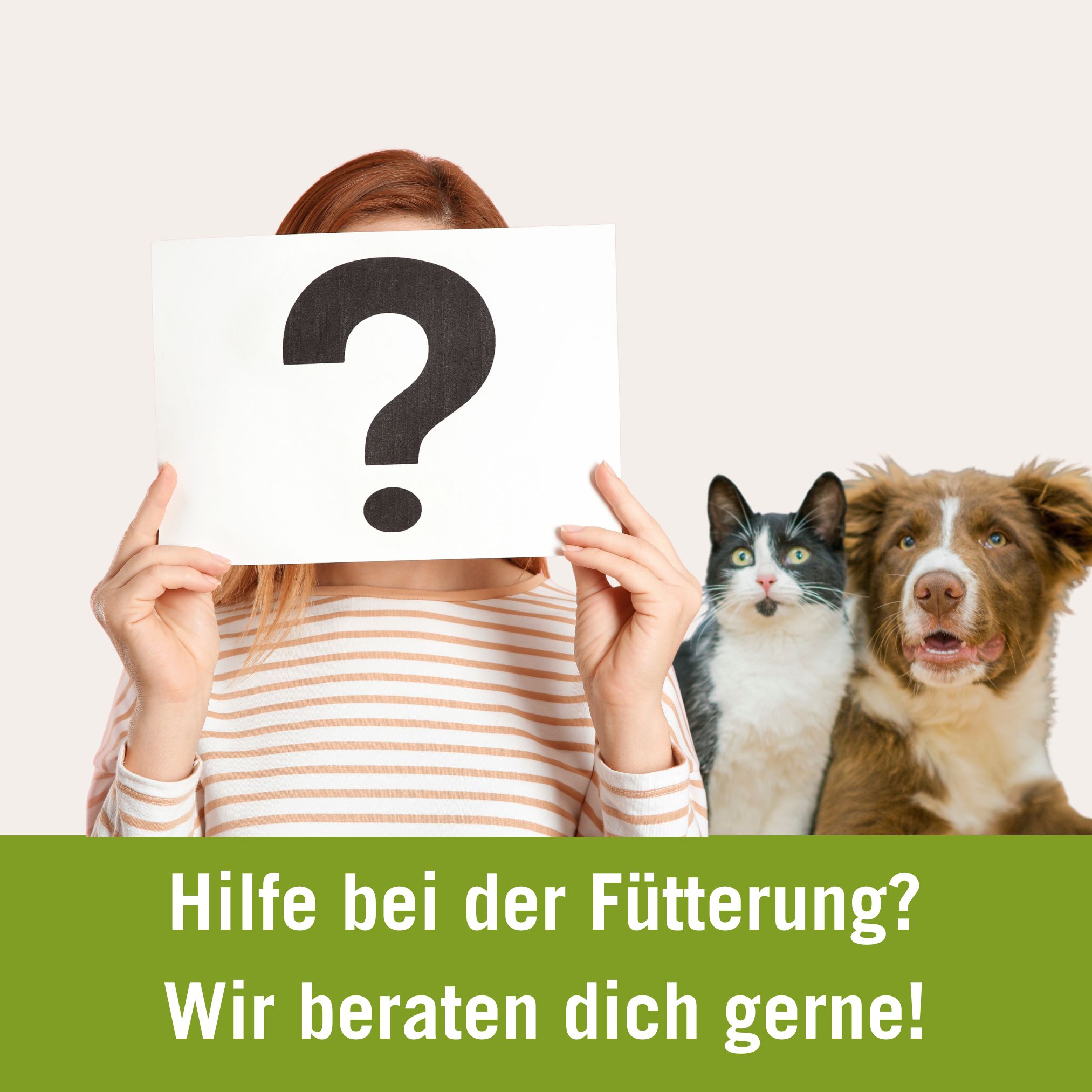 Ernährungsberatung Hund und Katze