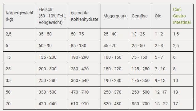 Futterplan Schonkost Hund bei Durchfall