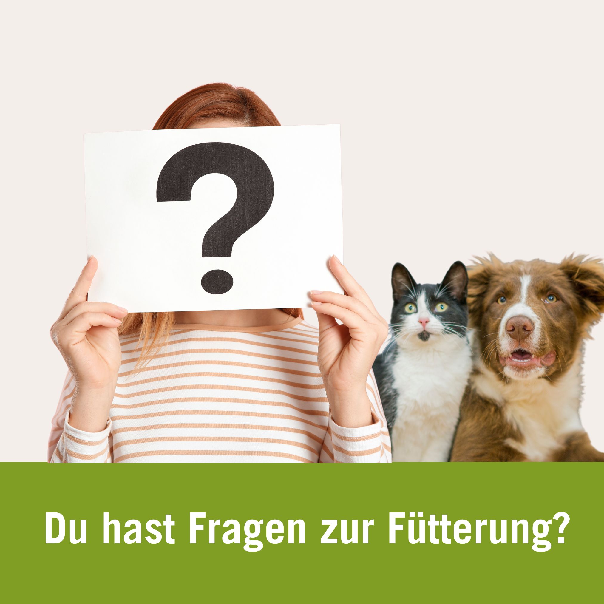 Tierärztliche Ernährungsberatung für Hunde und Katzen 