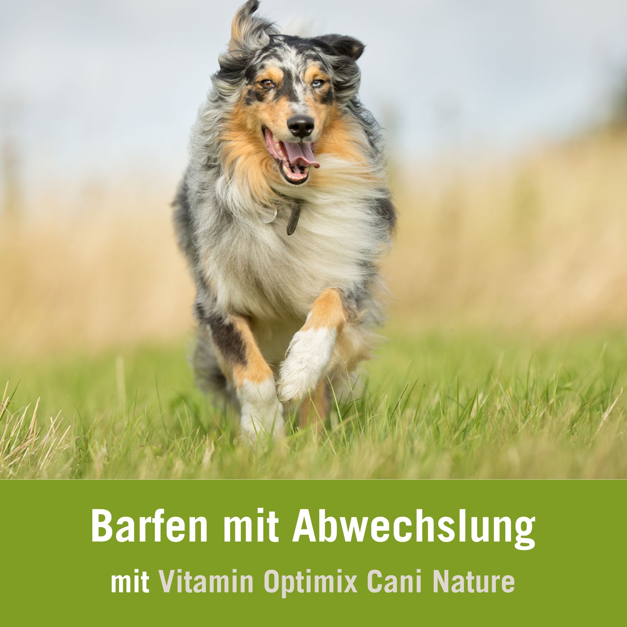 BARF Futterplan mit Vitamin Optimix Cani Nature