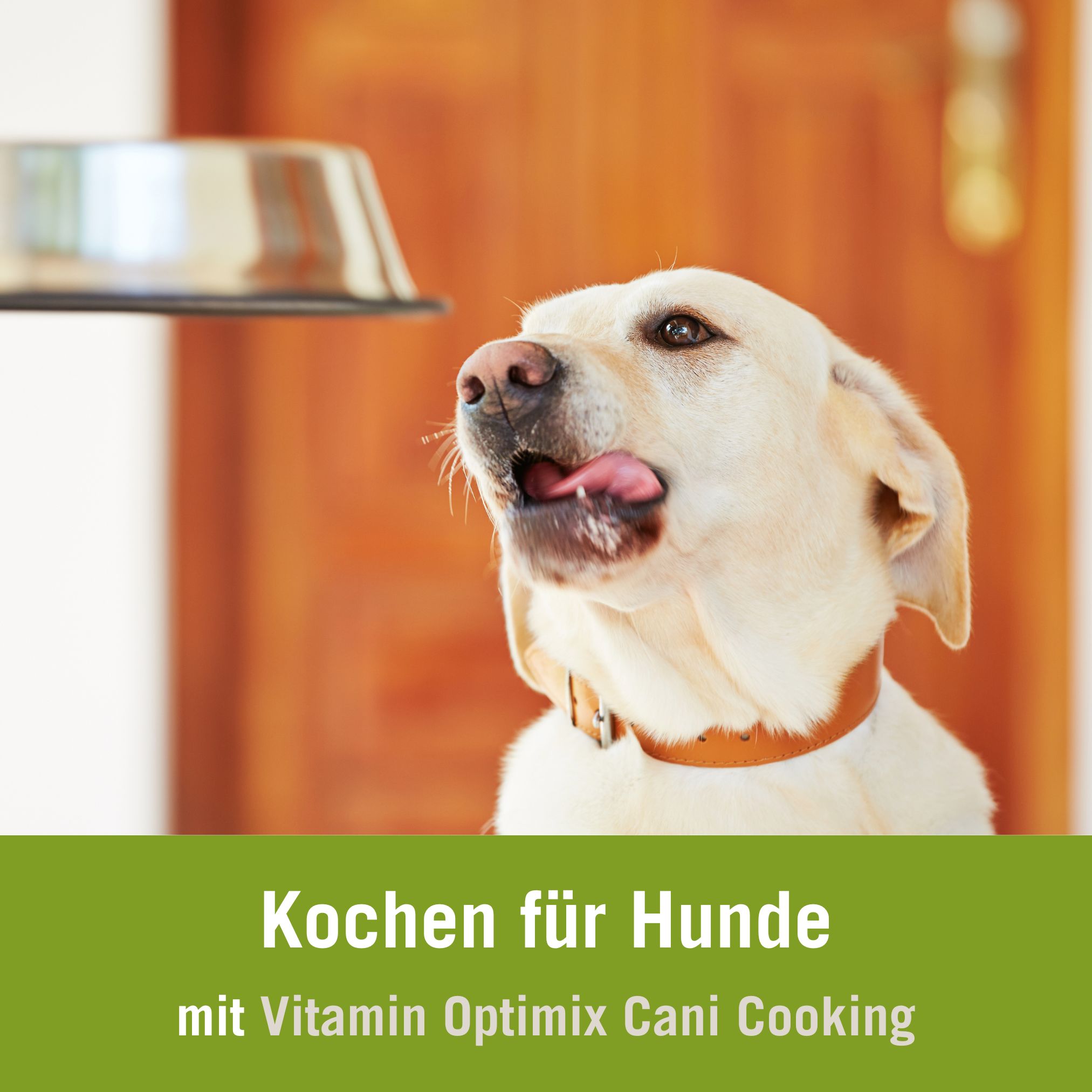 Futtermenge Hundefuter selber machen