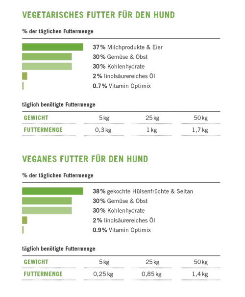 Hund fleischlos ernähren